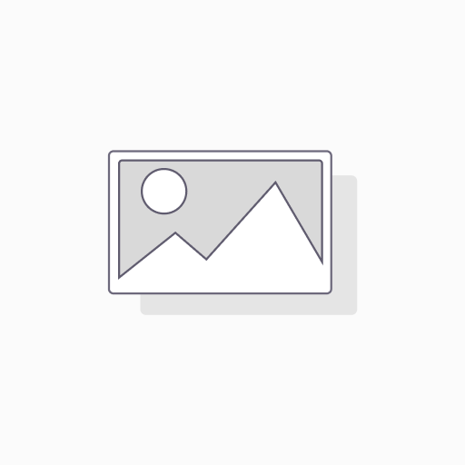 AMORTISSEUR / Car Heavy Track JEEP WRANGLER JL '18-> - REAR